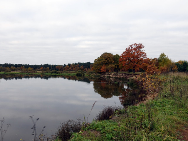 DSC01757.jpg