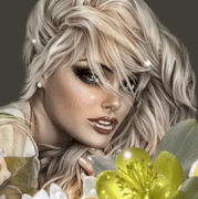 3.gif