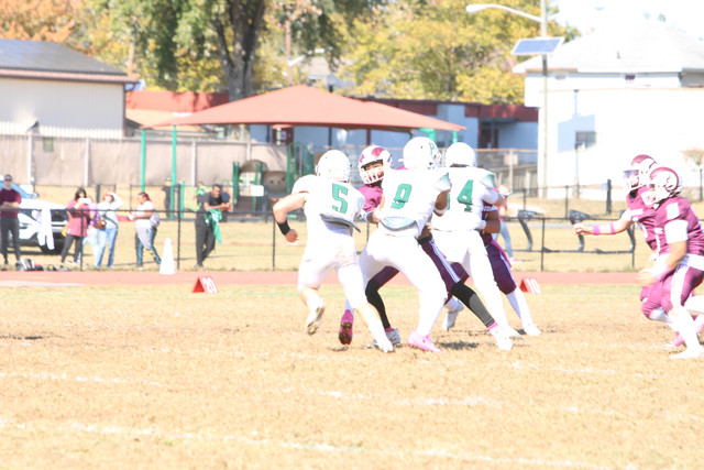 IMG-7959.jpg