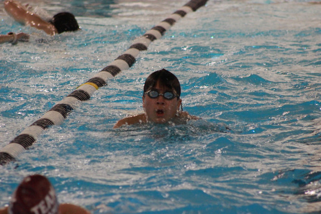 IMG-0334