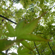 P1230883