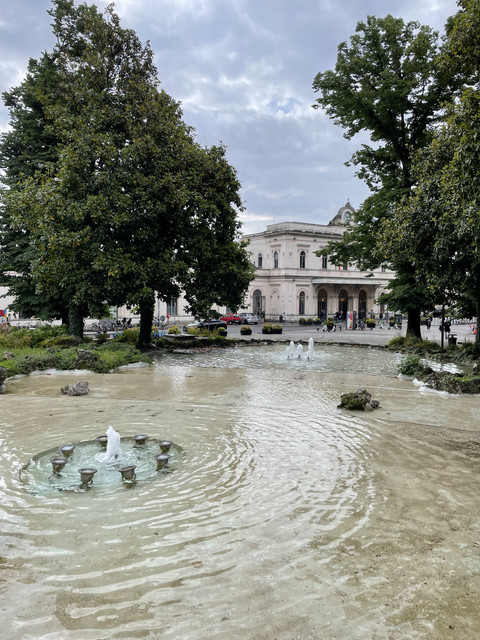 IMG-1617