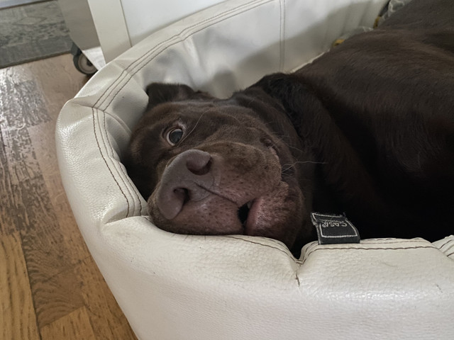 E41-D2654-9-FF9-49-DC-B270-2-CBEA27330-F