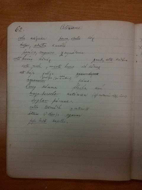 Cotoname-field-notes