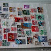 IMG-6919