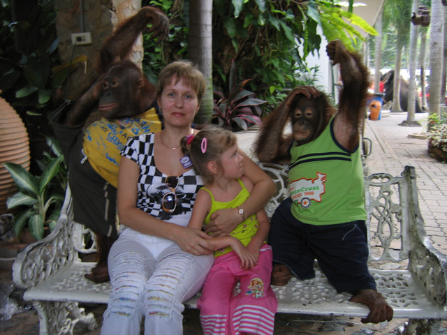 IMG-1593