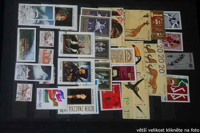 IMG-3418.jpg