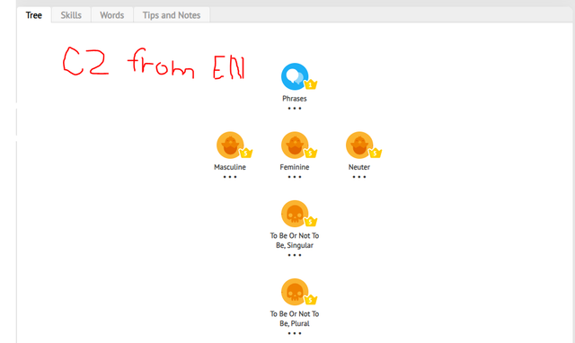 duolingo-Q1