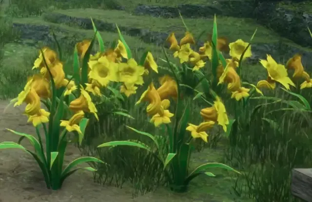 Honking-daffodils-HL
