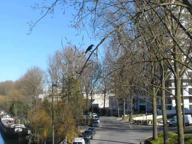 https://i.ibb.co/fngTV57/BILD0000035.jpg
