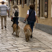 IMG-2022