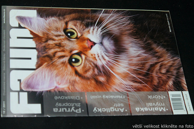 IMG-7734