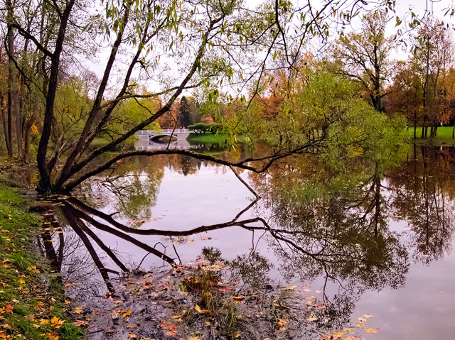 OLYMPUS-DIGITAL-CAMERA.jpg
