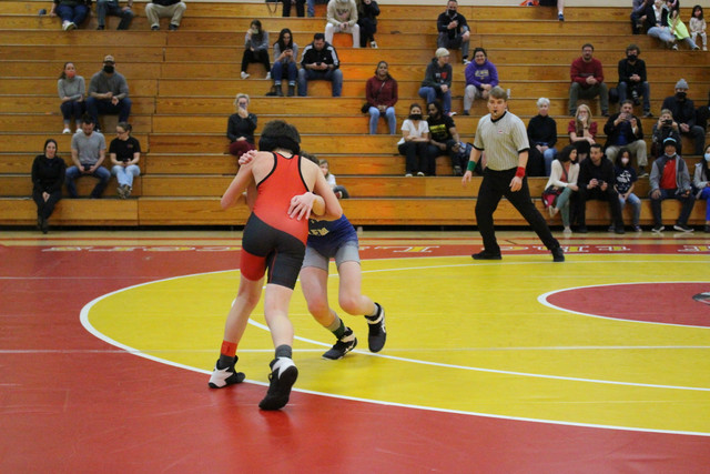 IMG-0233