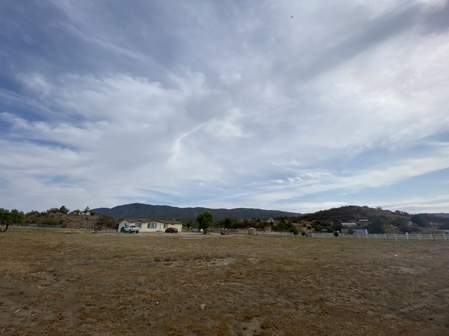 IMG-7177.png