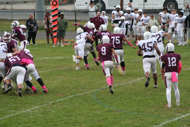 IMG-0665.jpg