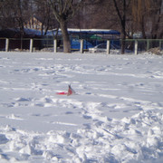 DSC04106