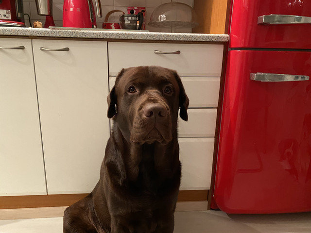 E6-A7-A735-1-BC6-4671-8-F1-A-AC1-E2037-E