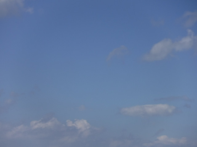 DSCF7942.jpg