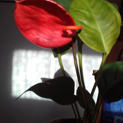 20150508-015724
