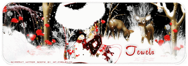 Jewels-Winter-Boots-tag