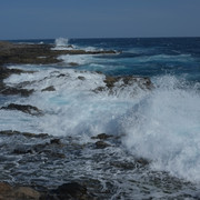 DSCF8205