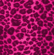 pink-10