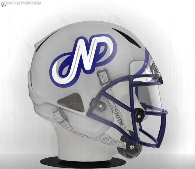 Duluth Nevers Helmet.jpg