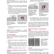 Page-00261