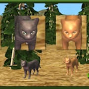 Standing-Cats
