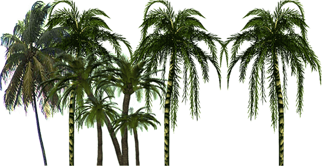 PALMERAL2.png