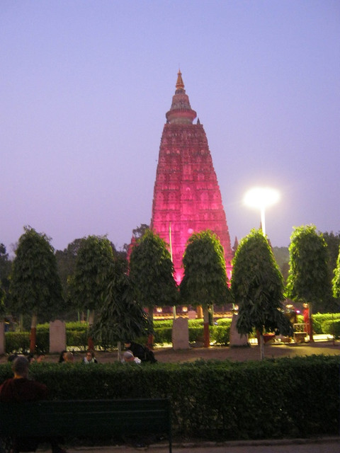IMG-0993.jpg
