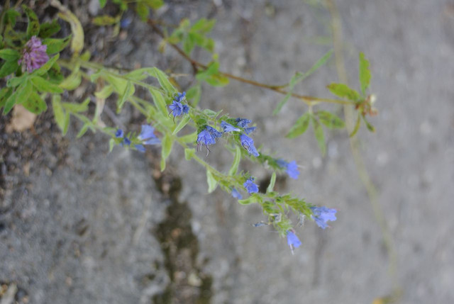 DSC5348-result.jpg