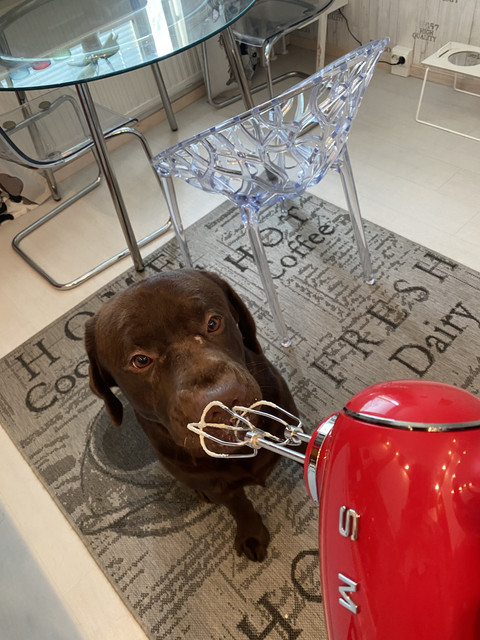 0-F3152-DC-3768-4114-ABEB-BE3-A9016-FCF5