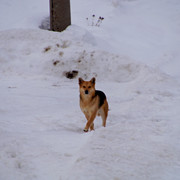 DSC02561