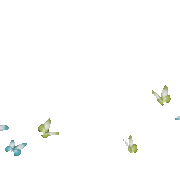 20200216-009