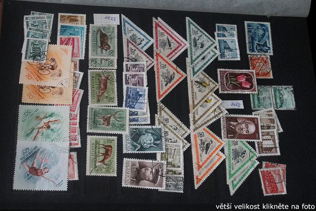 IMG-2616.jpg
