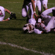 IMG-7630