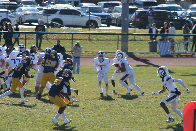 IMG-2683.jpg