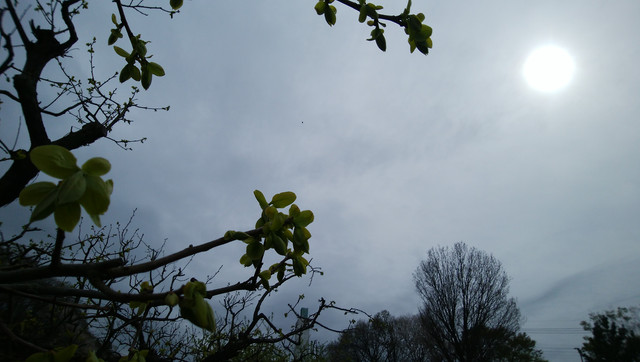 DSC-0076.jpg