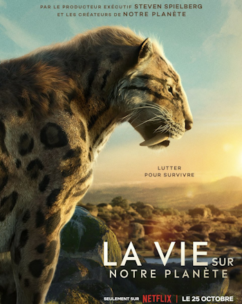 https://i.ibb.co/fr4MQfG/NETFLIX.png