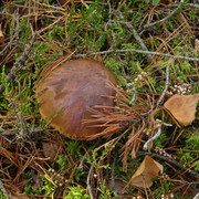 DSC05501