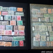 IMG-3006