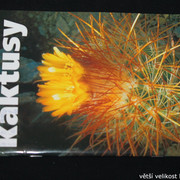IMG-3296