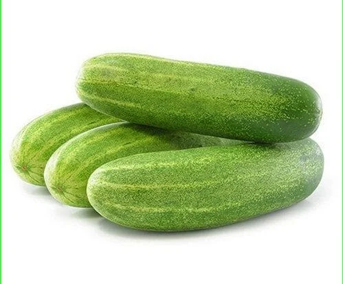 Cucumber