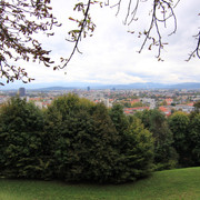 IMG-9967