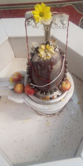 shiv
