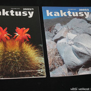 IMG-3304