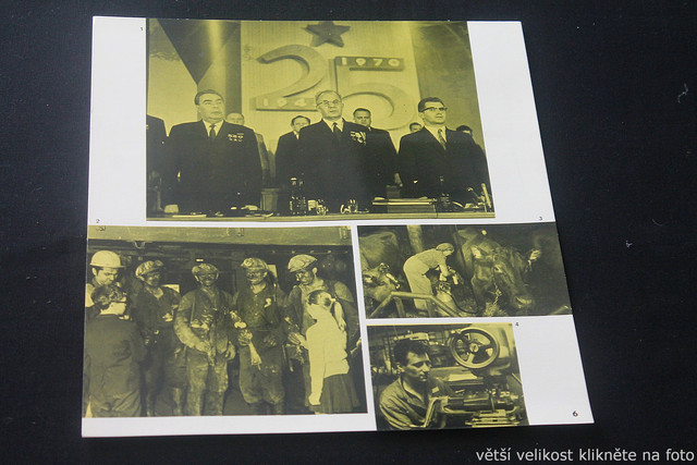 IMG-4499