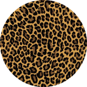 17bccfda71456f1cbba87461aacf33ec